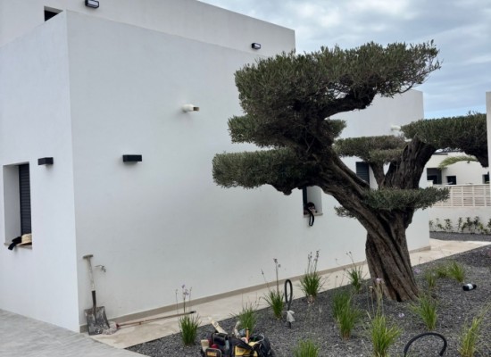 Algunas imágenes de nuestras última CONSTRUCCIÓN DE OBRA NUEVA